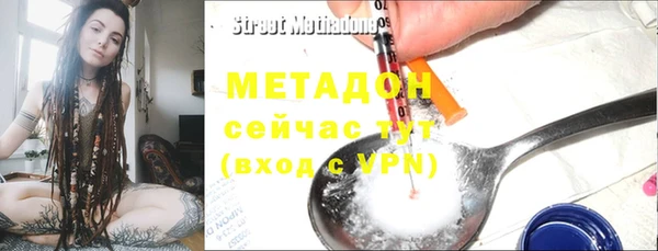 прущие грибы Аркадак