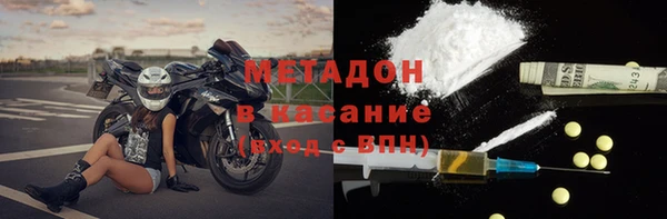 прущие грибы Аркадак
