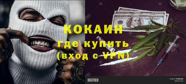 прущие грибы Аркадак