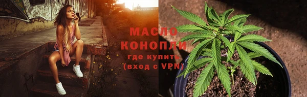 прущие грибы Аркадак