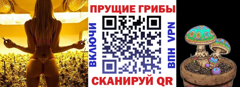 Галлюциногенные грибы прущие грибы  где купить наркоту  Стародуб 